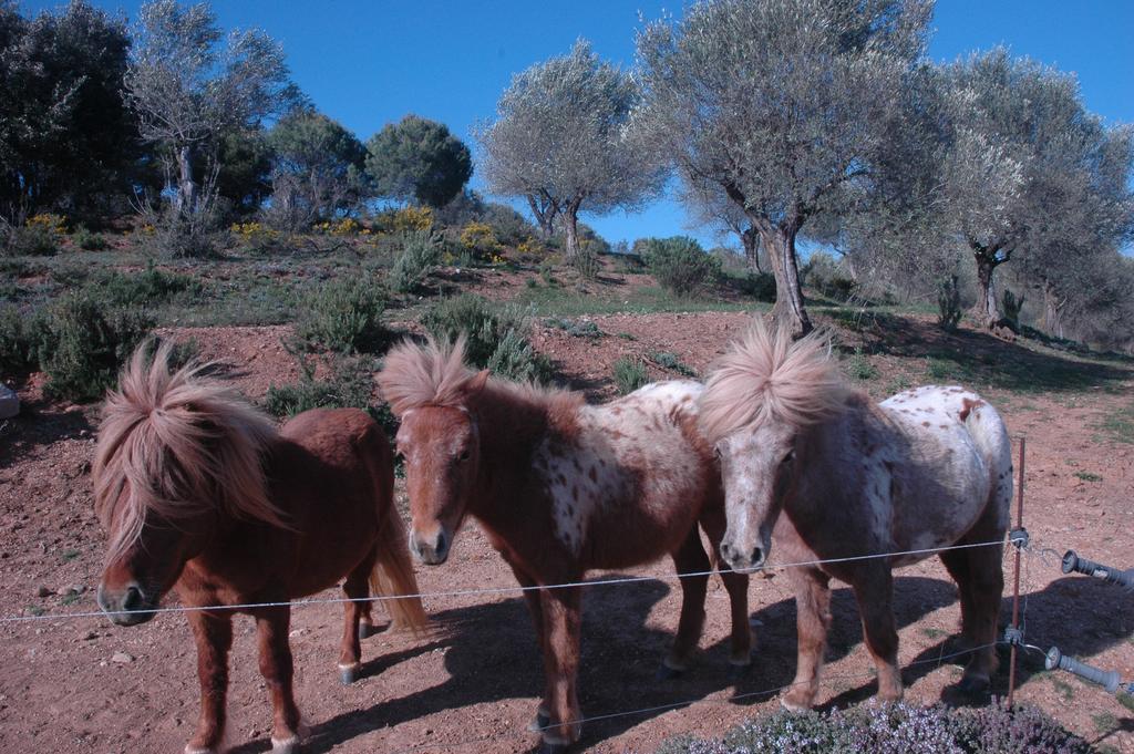 Masoveria De Lladó Exterior foto